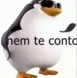 nem te conto Discord sticker