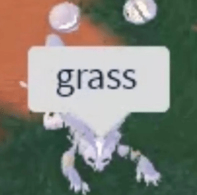 grass