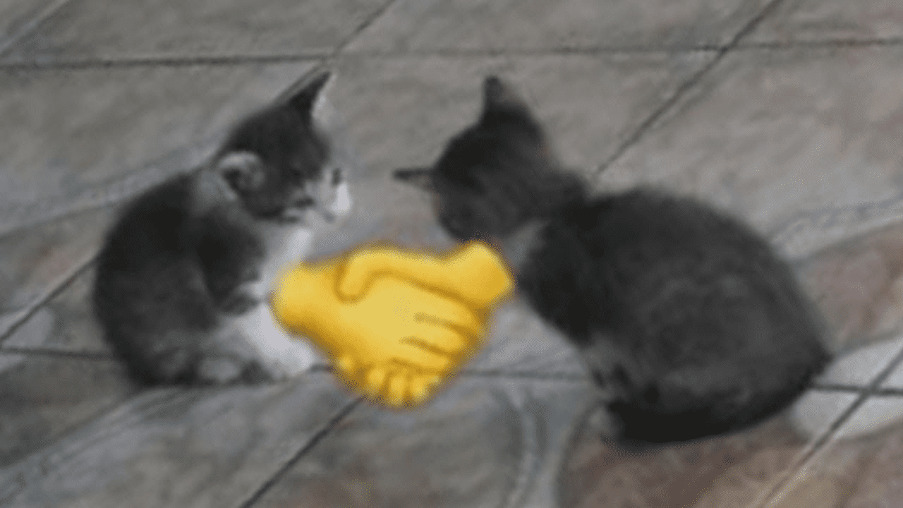 Pana  | .gg/programacion Discord sticker