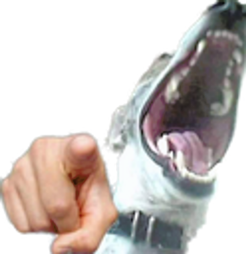 JAJA C MAMO Discord sticker
