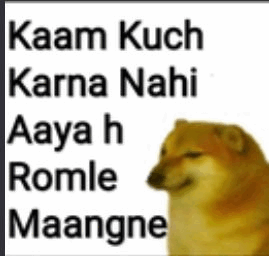 Role ke Bhikari Discord sticker