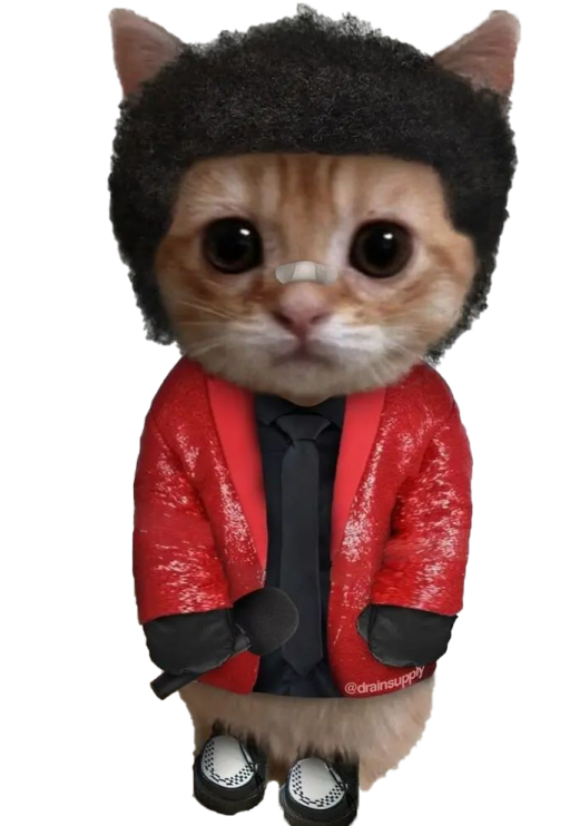 Abel Cat Discord sticker