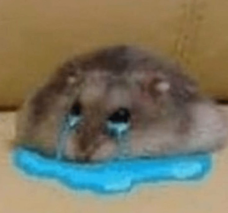 Hamster aguitado  Discord sticker