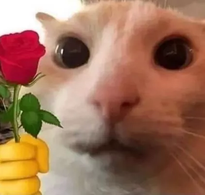 cat flower