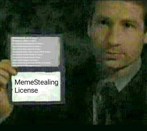 Meme Stealing License Discord sticker