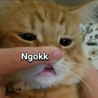 ngok Discord sticker