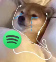 Sad Spotify  Discord sticker
