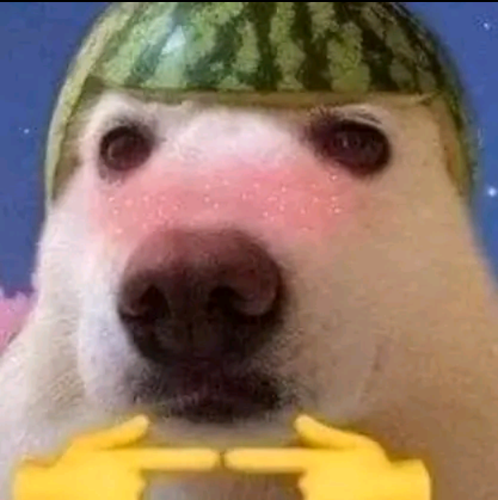 senpapi_dawg Discord sticker