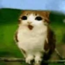 testosterone replacement 33