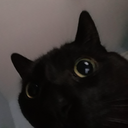Sly