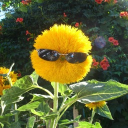 Discord user keegiteine