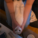 avatar_url