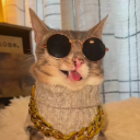 Avatar for TrashedKat