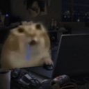 Discord user m...