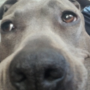 george