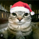 ! M4hakos R1 Discord avatar