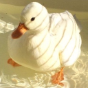 avatar discord de Redjul
