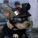 Roberto