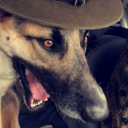 Avatar for Watch_fox