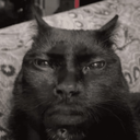 Discord member