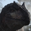 Avatar for Zilla