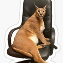 AV