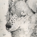 Avatar for Kiko