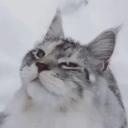Let It Snow