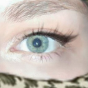 Zhuk