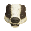 Badger