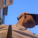 Profilepicture