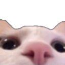 Avatar for AxelTheRadBoi (open)