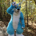 Avatar for pineapple the Dutch angel dragon