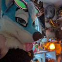 Avatar for pineapple the Dutch angel dragon