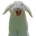 Maybe_Bunny