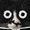 Avatar for KITTY CAT