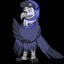 Night Eagle's avatar