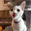 Eirini Discord avatar