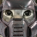 DOOM CAT