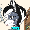 Avatar for Windragon Was @MFF