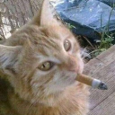 Avatar for SaltySnoodle