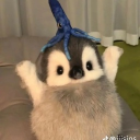 YaBoiJZB