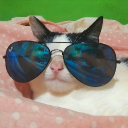 Alfredo🇦🇷⭐⭐⭐