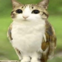 Discord user rind