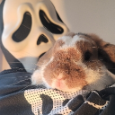 Avatar for CandyCorn666