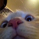 a...
