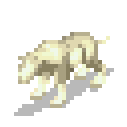 Avatar for Juno