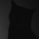 Cyro--