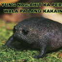 Patar