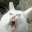 AtlasLux